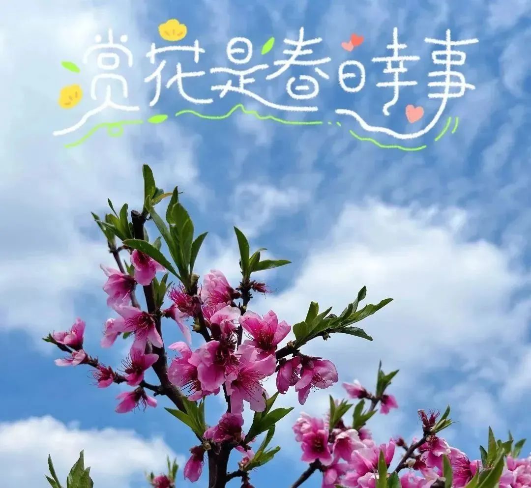 18文章来源